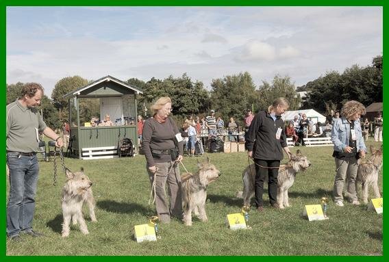 0780089